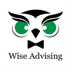 Wise Advising, Timişoara program de funcționare