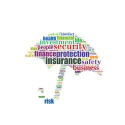Renomia - Partener Nest Insurance Expert Brasov, program de funcționare
