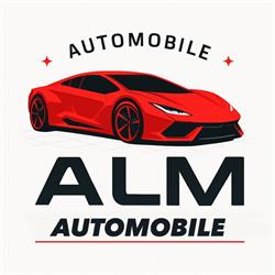 ALM Automobile, Bragadiru program de funcționare