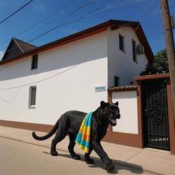 Casa Diana, Sulina program de funcționare