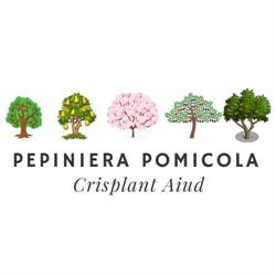 Pepiniera CRISPLANT Aiud, program de funcționare