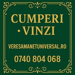 Veres Amanet Universal, Sânnicolau Mare program de funcționare