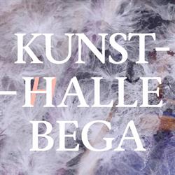 Kunsthalle Bega, Timişoara program de funcționare