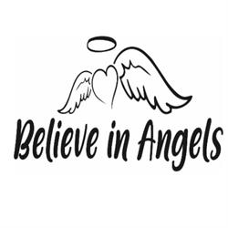 Asociatia Believe in Angels, Bragadiru program de funcționare