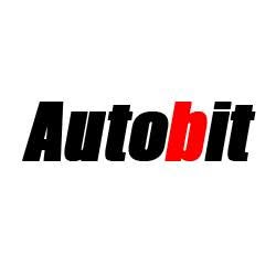 Autobit, Dej program de funcționare
