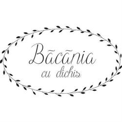 Băcănia cu Dichis, Roman program de funcționare