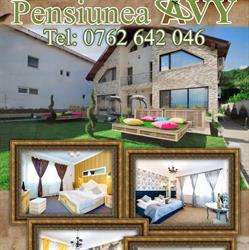 Pensiunea Avy, Haţeg program de funcționare