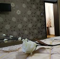 House Apartment, Cluj-Napoca program de funcționare