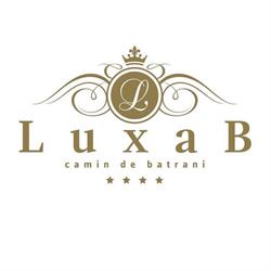 Camin de batrani LUXAB sector 1, Bucureşti program de funcționare