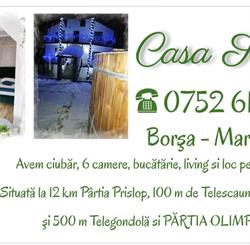 CASA SOFIA BORŞA, Borşa program de funcționare