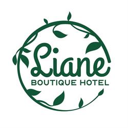 Liane, Câmpulung Moldovenesc program de funcționare