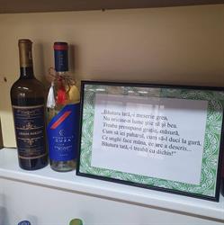 Casa barzoi termopan, Domneşti program de funcționare