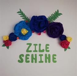 Camin de batrani Zile Senine, Bacău program de funcționare