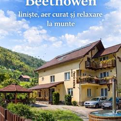 Pensiunea Casa Beethowen, Cheia program de funcționare