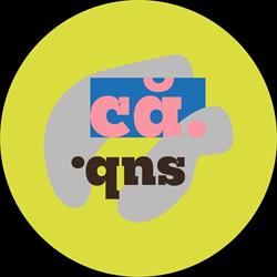 Căminul subcultural, Cluj-Napoca program de funcționare