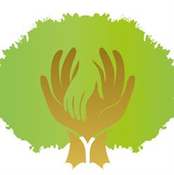 Transilvania Senior, Alba Iulia program de funcționare