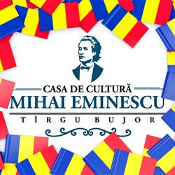 Casa de Cultură Mihai Eminescu Tîrgu Bujor, Târgu Bujor program de funcționare