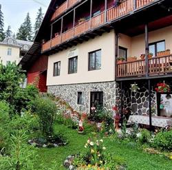 Pensiunea Eden, Borsec program de funcționare