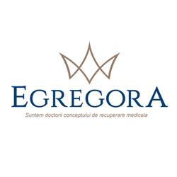 Egregora, Voluntari program de funcționare