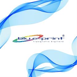 Blu.e-Print, Botoşani program de funcționare