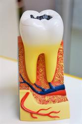 Clinica Dentara - Dr. Stamate Maria-Magdalena, Cazasu program de funcționare
