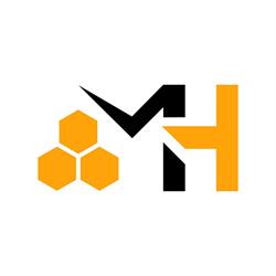 MindHive Software, Timişoara program de funcționare