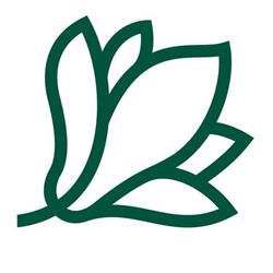 Florăria Magnolia, Bucureşti program de funcționare
