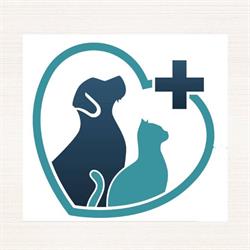 Amon Vet Care, Bacău program de funcționare
