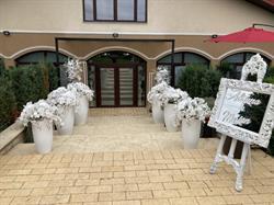 Casa Andrei, Darabani program de funcționare