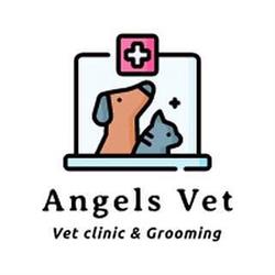 Angels VET, Bucureşti program de funcționare