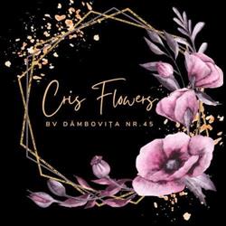 Cris Flowers, Timişoara program de funcționare