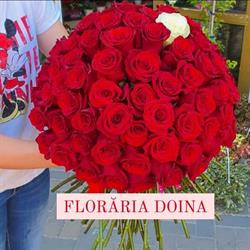 Florăria Doina, Baraţi program de funcționare