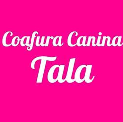 Coafura Canina Tala, Oradea program de funcționare