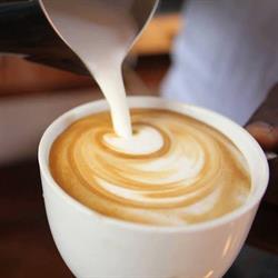 Derby Caffe, Oradea program de funcționare