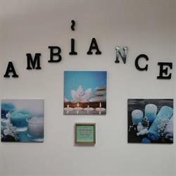 Ambiance, Topliţa program de funcționare