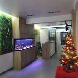 Clinica Veterinara Complet Vet, Cabinet Veterinar Zalau, Medic Veterinar Silaghi Cornelia, program de funcționare