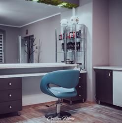 Salon Adiion, Reghin program de funcționare
