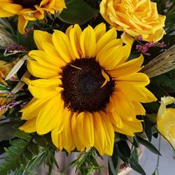 Floraria Sunflower, Constanţa program de funcționare