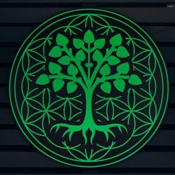 Greenys, Baia Mare program de funcționare