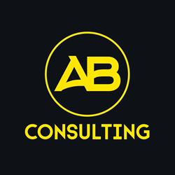 AB Consulting, Baia Mare program de funcționare