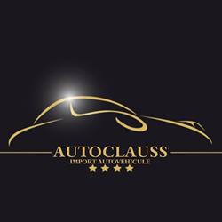 Autoclauss automobile, Lazuri program de funcționare