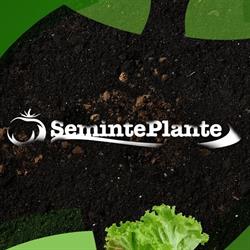 SemintePlante Ceres Union SRL, Popeşti-Leordeni program de funcționare