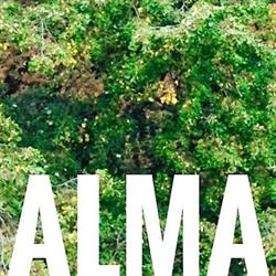 Alma Gardens, Otopeni program de funcționare