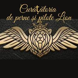 Curăţătoria de perne, Salcea program de funcționare