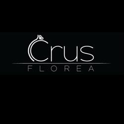 Icrus Florea, Bucureşti program de funcționare
