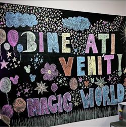 Magic World, Satu Mare program de funcționare