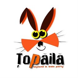 Topaila, Brăila program de funcționare