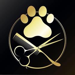 Kairo Groom, Timişoara program de funcționare