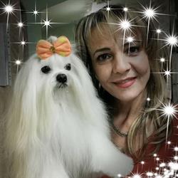 Tonya Frizerie Canina, Cosmetica Canina Timisoara. Salon Canin Timisoara, program de funcționare