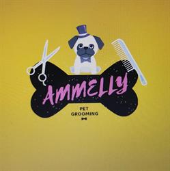 Amelly Salon, Constanţa program de funcționare